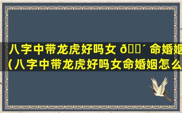 八字中带龙虎好吗女 🌴 命婚姻（八字中带龙虎好吗女命婚姻怎么样）